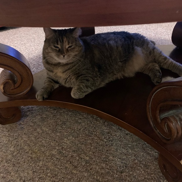 Meet your Posher, Kristen - Picture 2 of 3